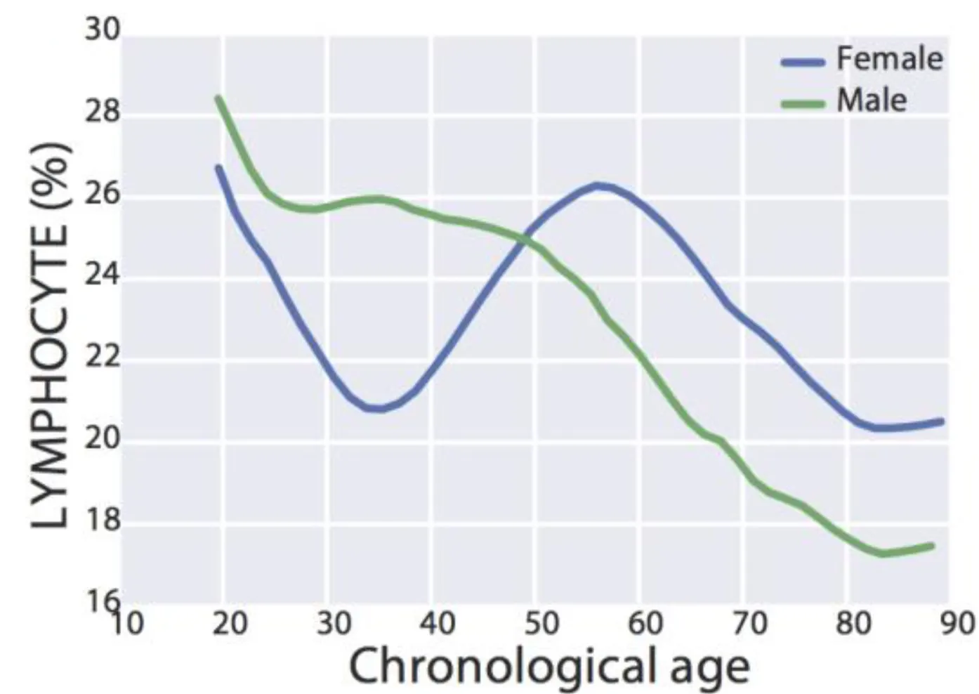 Lymphocytes decrease during aging