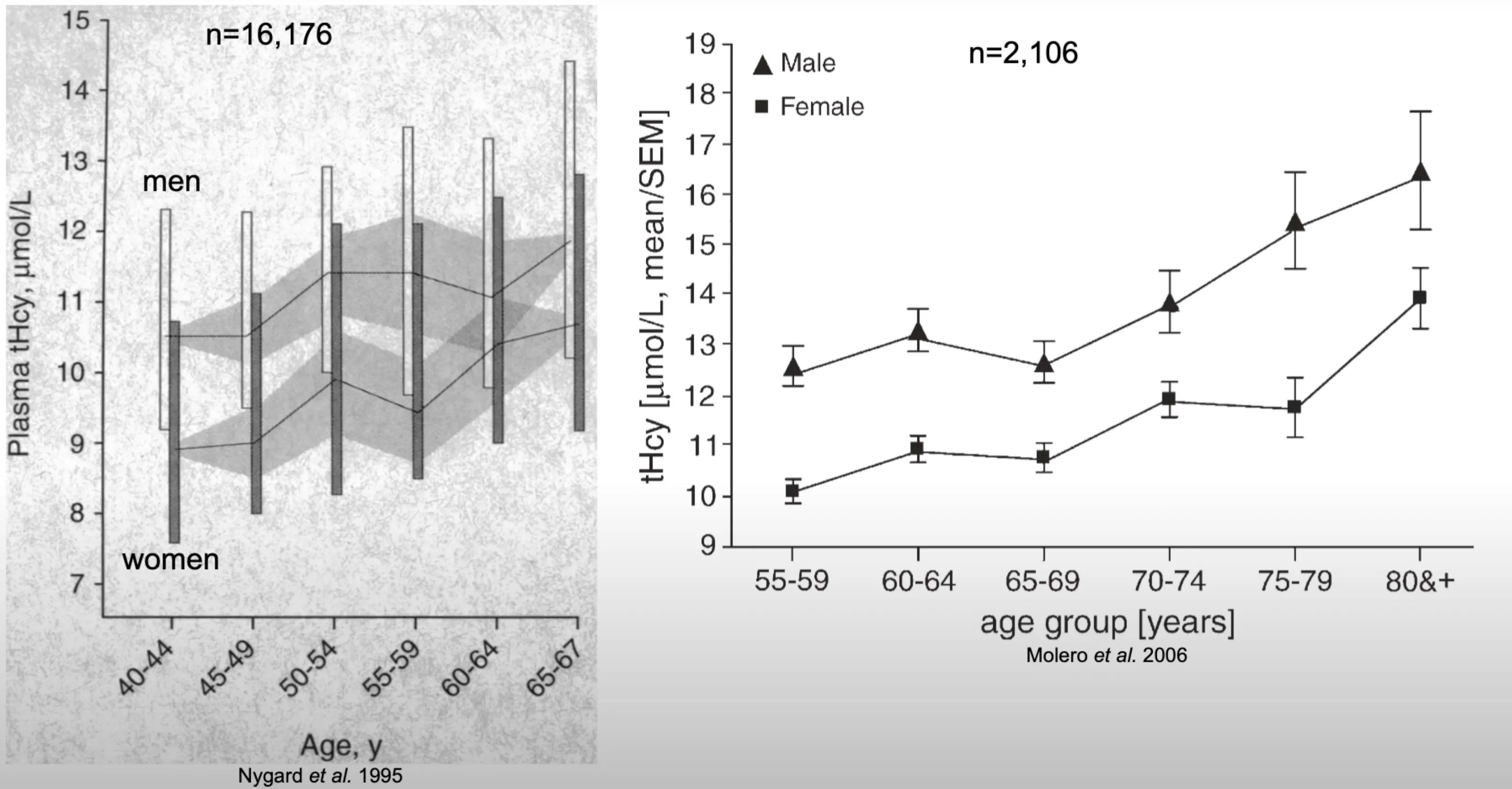 Homocysteine increases during aging