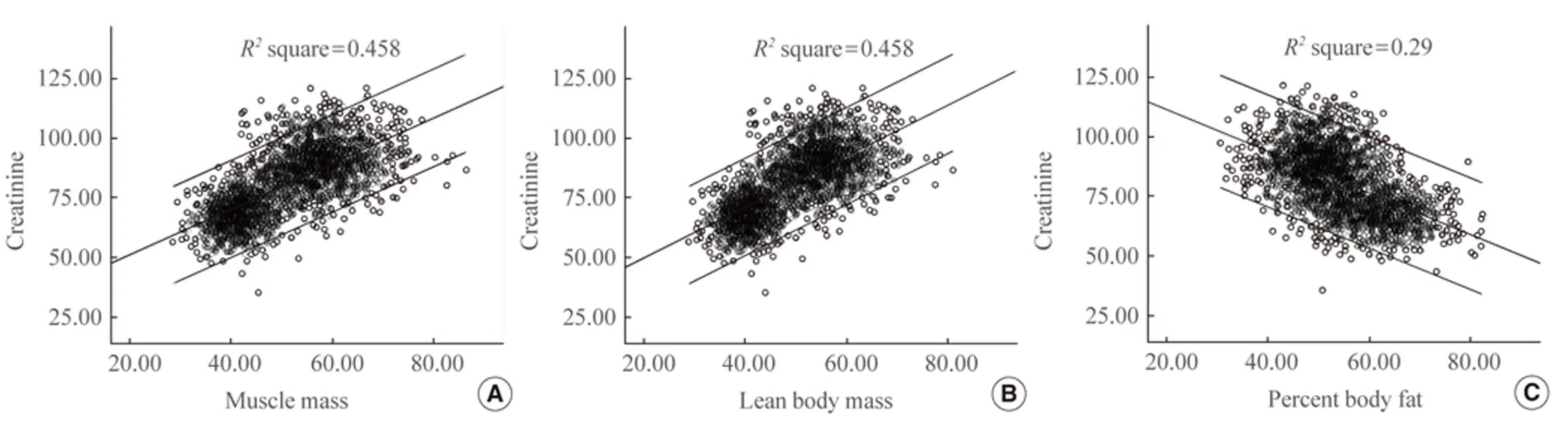 Creatinine increases with muscle mass